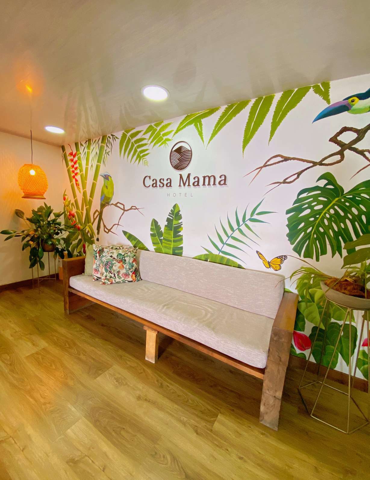 Recepción Casa Mama